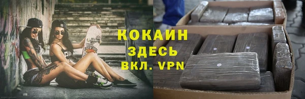 меф Горняк
