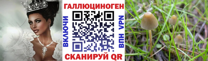 купить наркоту  omg ссылка  Псилоцибиновые грибы MAGIC MUSHROOMS  Черноголовка 