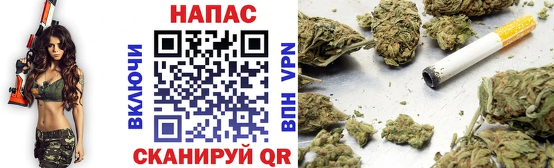 купить   Черноголовка  Бошки Шишки гибрид 